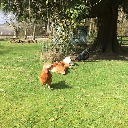 Kennels Cottage Stirling Ngoại thất bức ảnh